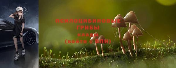 a pvp Алзамай