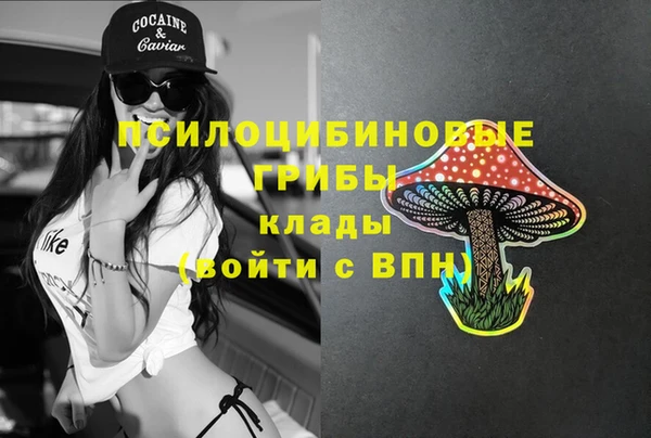 спиды Алексин