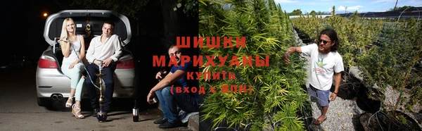 стафф Алексеевка