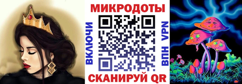 Галлюциногенные грибы Psilocybine cubensis  Щёлково 